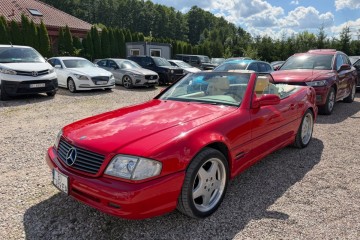 SL500 zdrowy zadbany egzemplarz